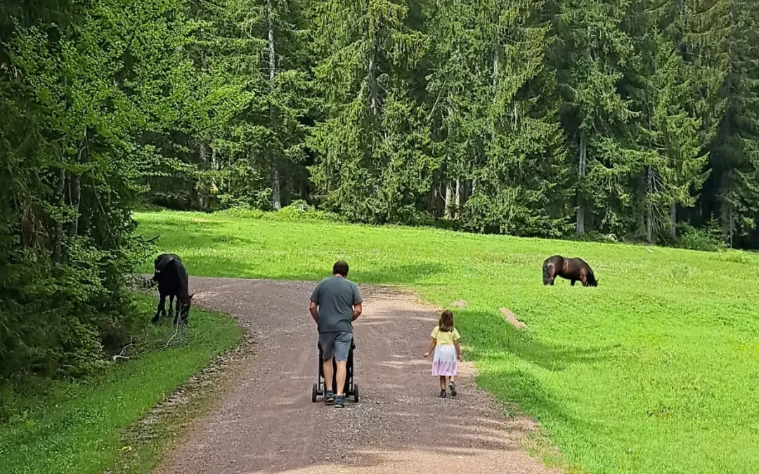 Ein Ausflug auf die Winkelmoosalm zur Muckklause